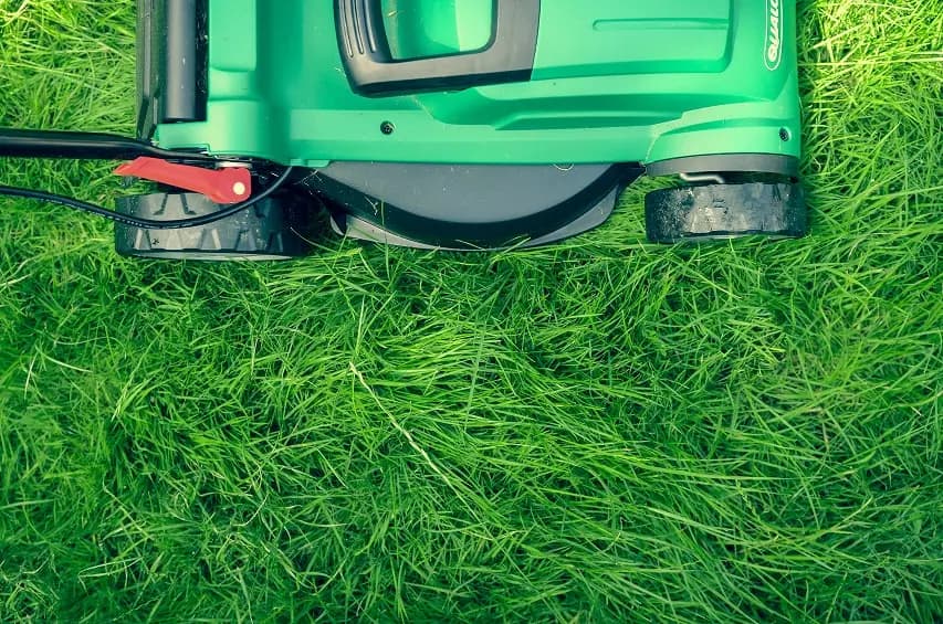 Lawn maintenance