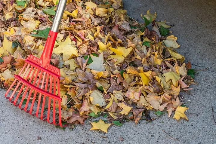 Garden clean-up in progress