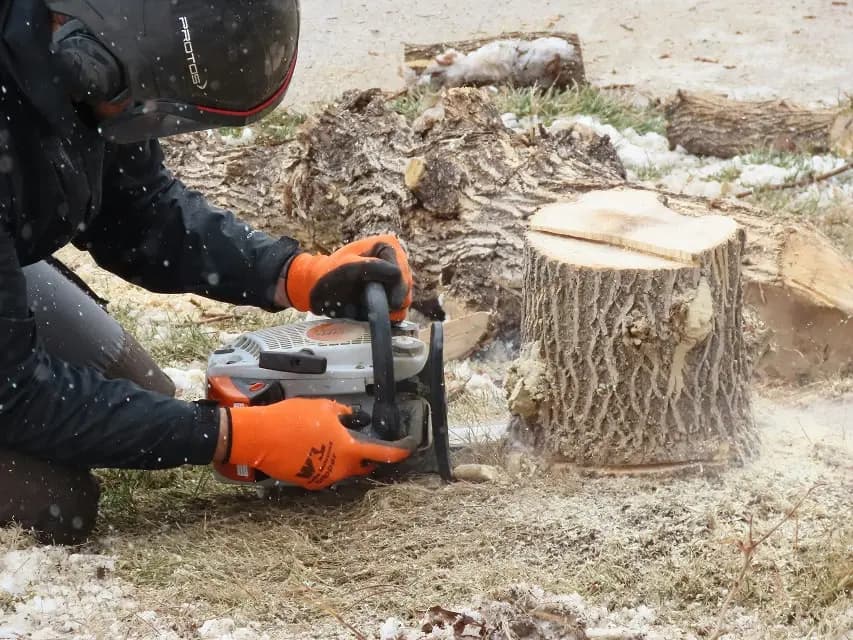 Stump grinding process
